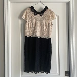 Betsy Johnson lace two tone dress. Black and white